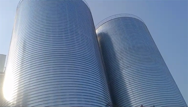 庆元2座混凝土高架卷板仓